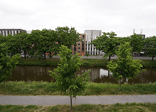 Foto Nijverheidssingel 281 Breda #4