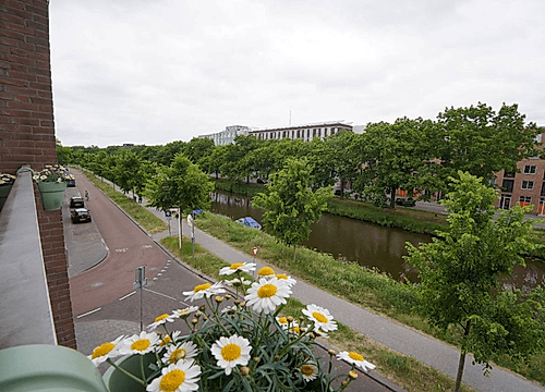 Foto Nijverheidssingel 281 Breda #5